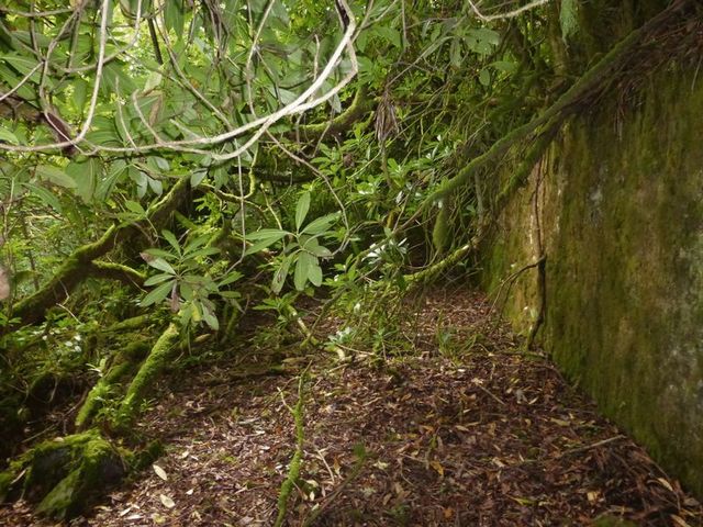  Image of Property for sale in Trenance Downs St. Austell PL25 at Trenance Downs St Austell, PL25 5RG