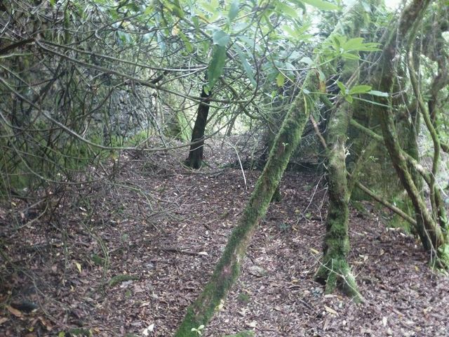  Image of Property for sale in Trenance Downs St. Austell PL25 at Trenance Downs St Austell, PL25 5RG