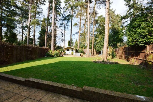  Image of 4 bedroom Detached house for sale in Furze Vale Road Headley Down Bordon GU35 at Furze Vale Road Headley Down Headley Down, GU35 8EP