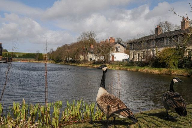 2 Bedroom Terraced House For Sale In Lakeside Cottages Standish Wigan Wn1