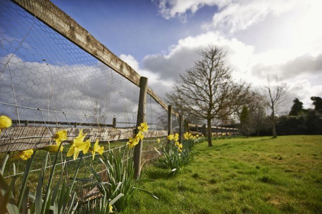  Image of 4 bedroom Detached house for sale in Bank Road Little Witley Worcester WR6 at Bank Road Little Witley Worcester, WR6 6LR