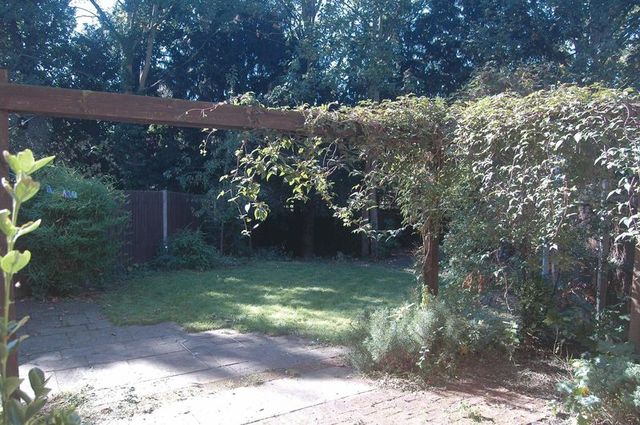  Image of House Share to rent in Rowan Place Colchester CO1 at Rowan Place  Colchester, CO1 1AJ