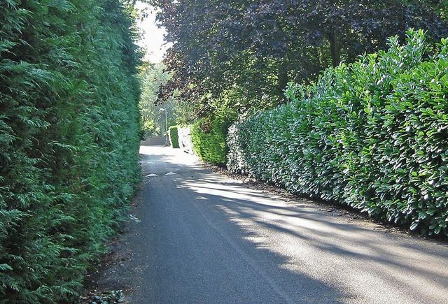  Image of 4 bedroom Detached house for sale in Ottershaw Park Ottershaw Chertsey KT16 at Ottershaw Park Ottershaw Chertsey, KT16 0QG