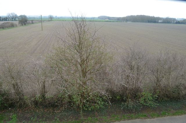  Image of 5 bedroom Detached house for sale in Tall Pines Road Witham St. Hughs Lincoln LN6 at Tall Pines Road Witham St. Hughs Lincoln, LN6 9RT