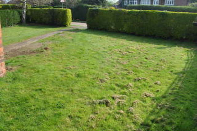  Image of 3 bedroom Semi-Detached house for sale in Dunstall Way West Molesey KT8 at Dunstall Way  West Molesey, KT8 1PD