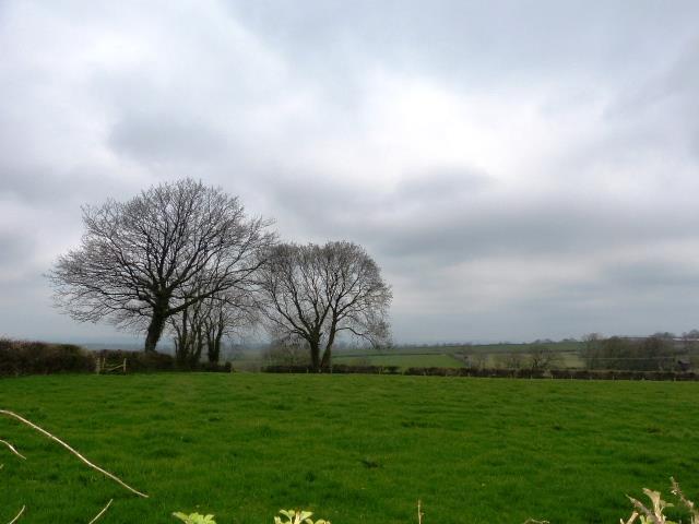  Image of 3 bedroom Bungalow for sale in Highfield Park Coxhill Narberth SA67 at Coxhill Narberth Redstone Bank, SA67 7UN