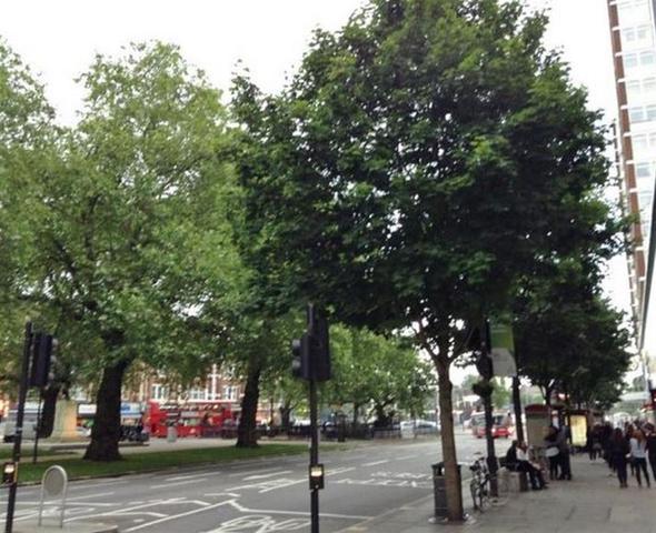  Image of 3 bedroom Flat for sale in Shepherds Bush Green London W12 at London  White City, W12 8PN
