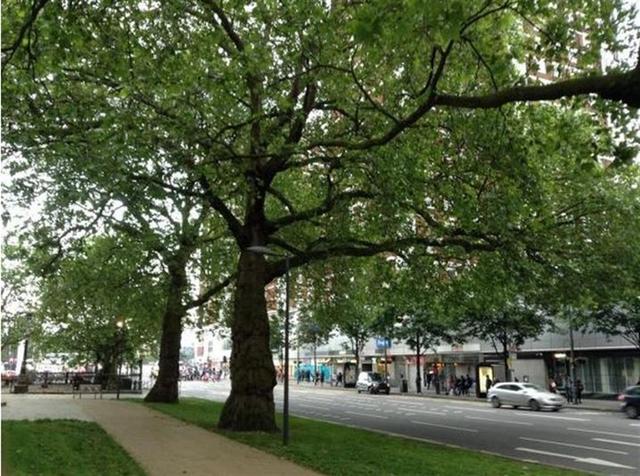  Image of 3 bedroom Flat for sale in Shepherds Bush Green London W12 at London  White City, W12 8PN