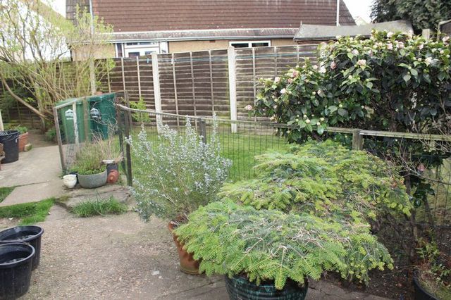  Image of 2 bedroom Semi-Detached house for sale in Sydney Crescent Ashford TW15 at Sydney Crescent  Ashford, TW15 2BJ