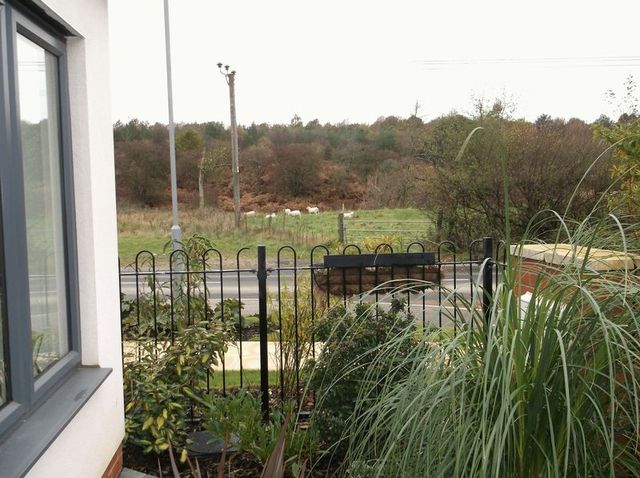  Image of 4 bedroom Detached house for sale in Valley Road Cinderford GL14 at Kings Lodge Valley Road Cinderford, GL14 2NX
