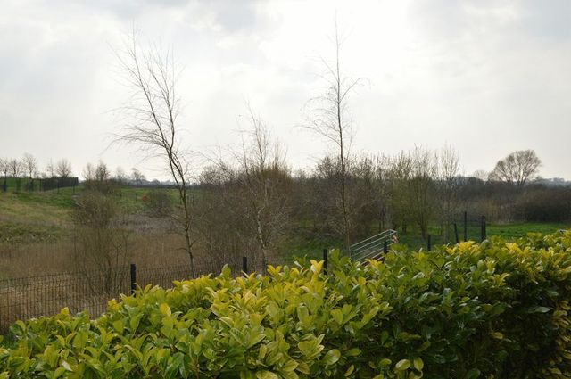  Image of 4 bedroom Detached house for sale in Chaffinch Chase Gillingham SP8 at Chaffinch Chase Gillingham Peacemarsh, SP8 4GT