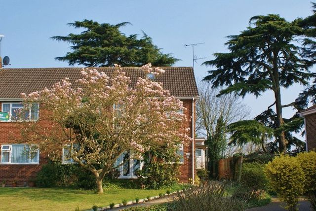  Image of 2 bedroom Flat for sale in Springfield Park Twyford Reading RG10 at Springfield Park Twyford Reading, RG10 9JH