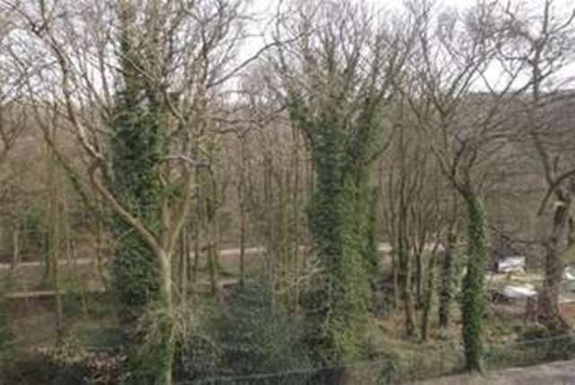  Image of 4 bedroom Detached house to rent in Westwood Road Sheffield S11 at Sheffield, S11 7EY