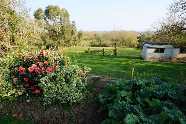  Image of 4 bedroom Detached house for sale in Hillview Terrace East Lyng Taunton TA3 at East Lyng Taunton, TA3 5AU