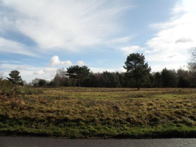  Image of 2 bedroom Semi-Detached house for sale in Fairwarp Uckfield TN22 at The Street  Fairwarp, TN22 3BP