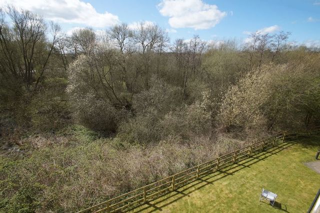 Image of 2 bedroom Flat for sale in The Dell Stourport-on-Severn DY13 at The Dell  Stourport-On-Severn, DY13 9GF