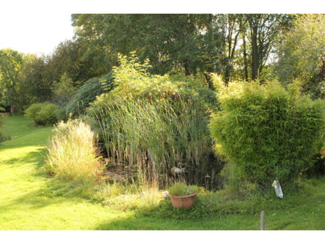  Image of 3 bedroom Detached house to rent in Ballintuim Blairgowrie PH10 at Blairgowrie Perthshire Perthshire, PH10 7NW