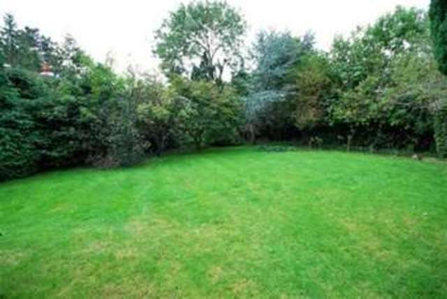  Image of 5 bedroom Detached house to rent in Pine Walk Cobham KT11 at Cobham, KT11 2HJ