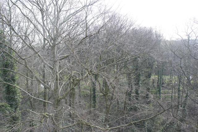  Image of 1 bedroom Flat to rent in Crabtree Lane Sheffield S5 at Crabtree Sheffield Fir Vale, S5 7AY