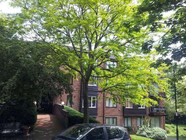 Image of 2 bedroom Flat to rent in Steep Hill Croydon CR0 at Steephill  Croydon, CR0 5QS