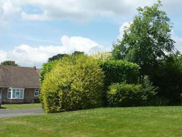  Image of 1 bedroom Flat to rent in Burns Road Loughborough LE11 at Thorpe Acre, LE11 4NP