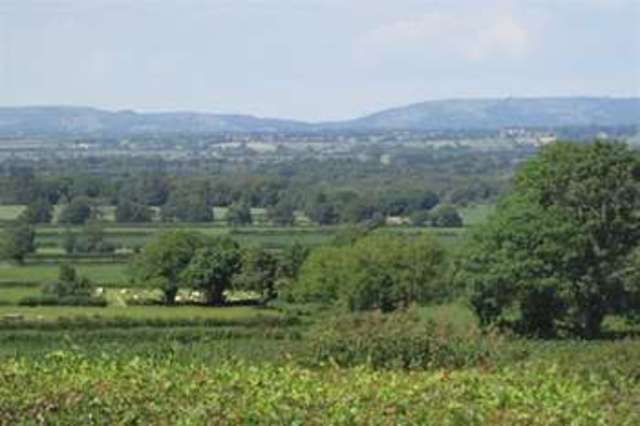  Image of 4 bedroom Detached house for sale in Loxley Batch Shapwick Bridgwater TA7 at Shapwick, TA7 9NZ
