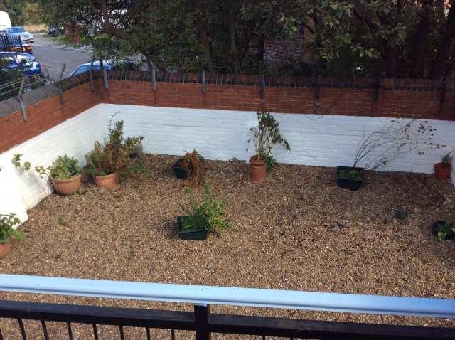  Image of 2 bedroom Flat to rent in Main Road Sheffield S9 at Sheffield, S9 4QD