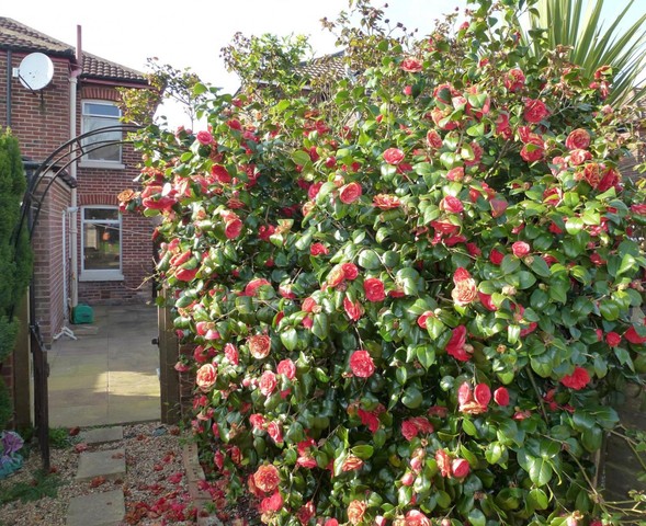 Image of 3 bedroom Detached house to rent in Newton Road Southampton SO18 at Southampton, SO18 1NH