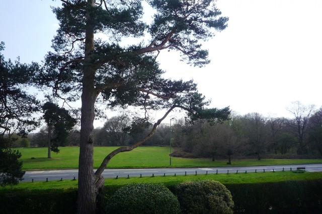  Image of 3 bedroom Detached house to rent in The Crescent Pendleton Road Redhill RH1 at Pendleton Road  Redhill, RH1 6LD