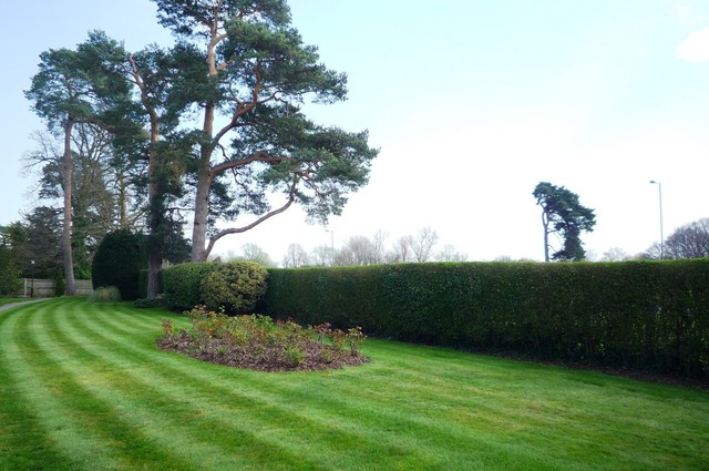  Image of 3 bedroom Detached house to rent in The Crescent Pendleton Road Redhill RH1 at Pendleton Road  Redhill, RH1 6LD