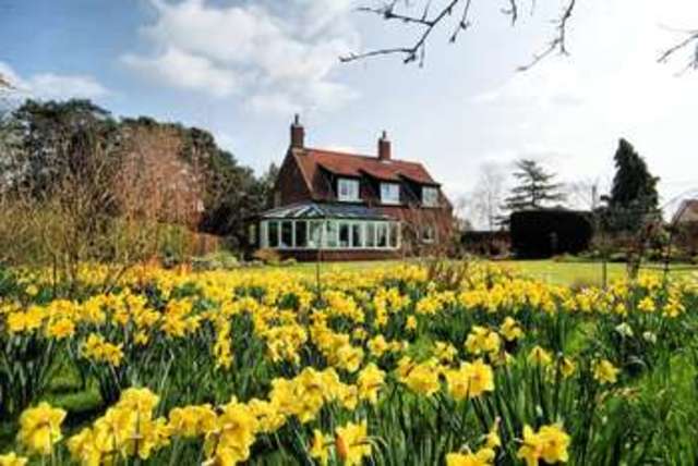  Image of 4 bedroom Detached house for sale in Old Fakenham Road Foxley Dereham NR20 at Foxley Dereham Norfolk, NR20 4QJ