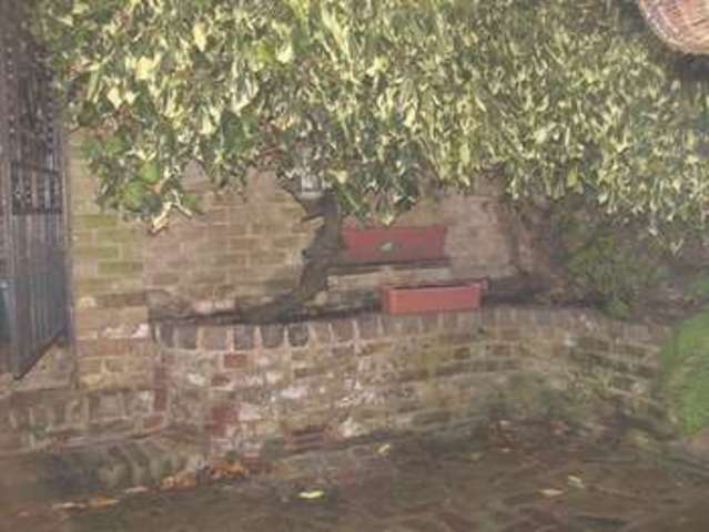  Image of 1 bedroom Flat to rent in West Street Harrow-on-the-Hill Harrow HA1 at West Street  Harrow on the Hill, HA1 3ER