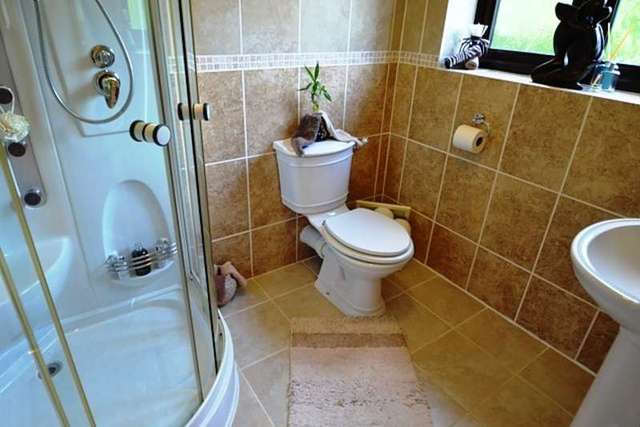  Image of 4 bedroom Detached house to rent in Ellen Gardens Chandler