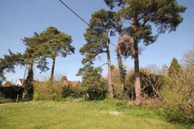  Image of 3 bedroom Semi-Detached house to rent in Dungates Lane Buckland Betchworth RH3 at Dungates Lane Buckland Betchworth, RH3 7BD
