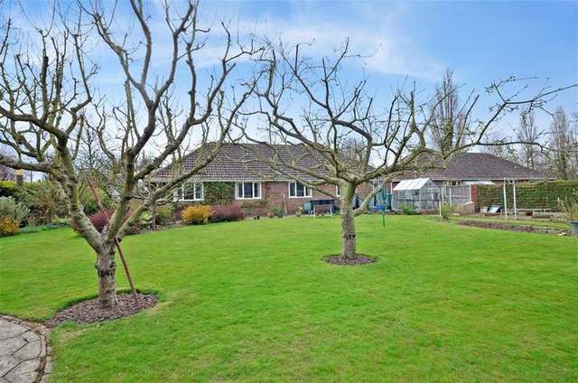  Image of 4 bedroom Bungalow for sale in Grasmere Road Chestfield Whitstable CT5 at Whitstable Kent Whitstable, CT5 3LX