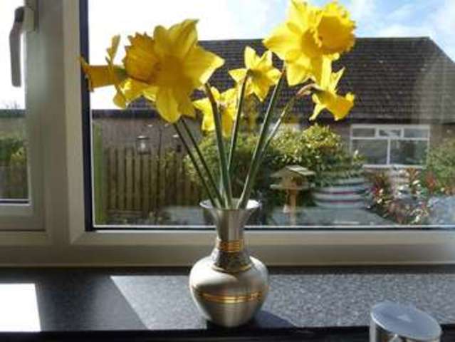  Image of 3 bedroom Detached house for sale in Greenwood Crescent Bolton Le Sands Carnforth LA5 at Greenwood Crescent Bolton le Sands Carnforth, LA5 8AT