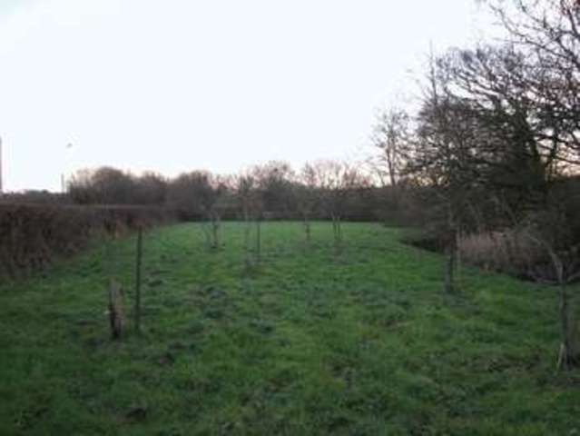 Image of Property for sale in Holsworthy EX22 at Holsworthy, EX22 6NZ