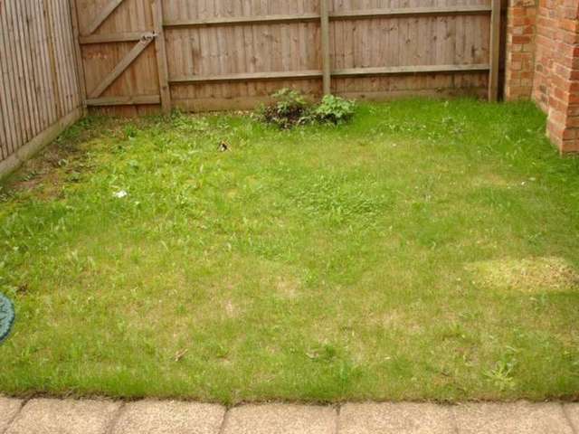  Image of 3 bedroom Semi-Detached house to rent in Junction Road Northampton NN2 at Northampton Kingsthorpe, NN2 7JA