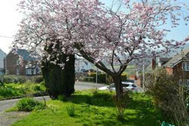  Image of 3 bedroom Semi-Detached house for sale in Fortescue Road Sidmouth EX10 at Sidmouth, EX10 9QD