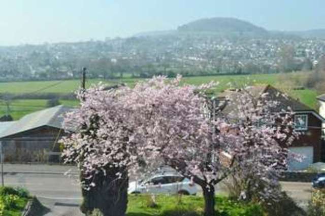  Image of 3 bedroom Semi-Detached house for sale in Fortescue Road Sidmouth EX10 at Sidmouth, EX10 9QD