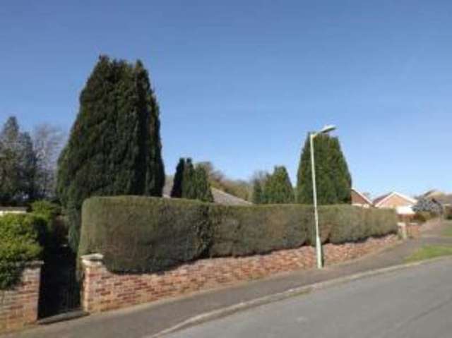  Image of 3 bedroom Bungalow for sale in Canterbury Road Sudbury CO10 at Sudbury Suffolk Rodbridge Corner, CO10 1LJ