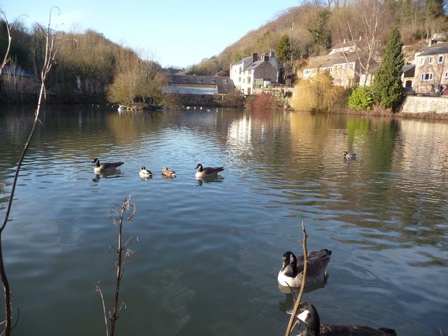  Image of 2 bedroom Detached house to rent in Water Lane Cromford Matlock DE4 at Water Lane Cromford Cromford, DE4 3QH