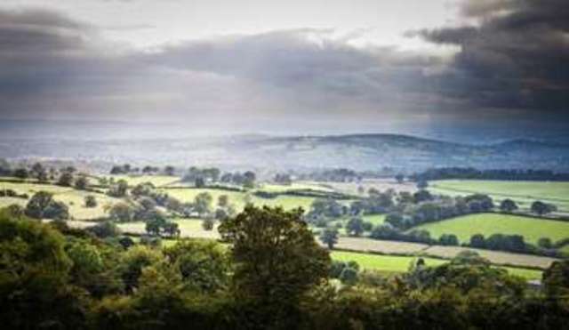  Image of 4 bedroom Detached house for sale in Blackborough Cullompton EX15 at Blackborough Cullompton, EX15 2HQ