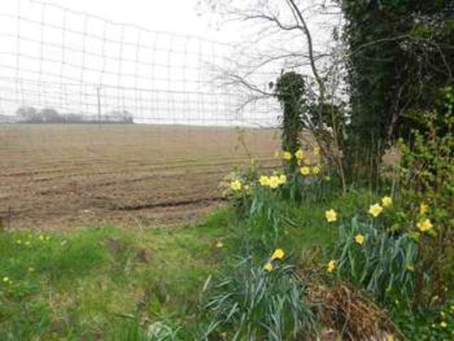  Image of 3 bedroom Bungalow for sale in Hill Mountain Hill Mountain Houghton Milford Haven SA73 at Houghton Milford Haven Houghton, SA73 1NB