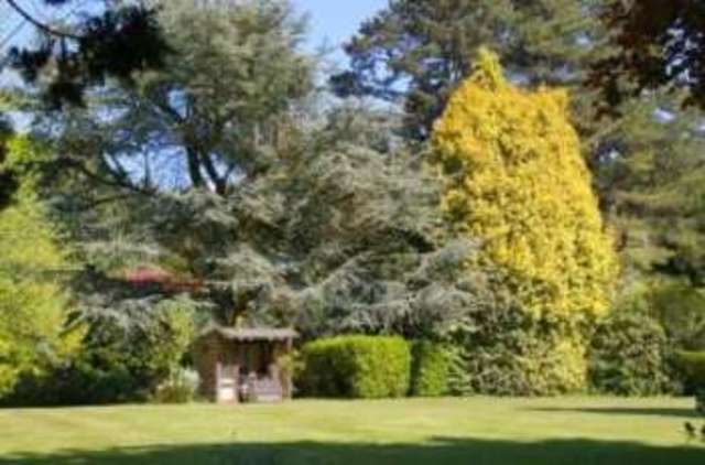  Image of 4 bedroom Detached house for sale in Bear Lane Budleigh Salterton EX9 at Budleigh Salterton Devon Knowle, EX9 7AQ