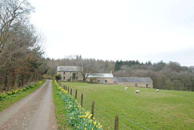  Image of 4 bedroom Detached house to rent in Cambo Morpeth NE61 at Cambo Morpeth Cambo, NE61 4BP