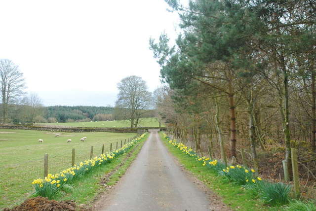  Image of 4 bedroom Detached house to rent in Cambo Morpeth NE61 at Cambo Morpeth Cambo, NE61 4BP
