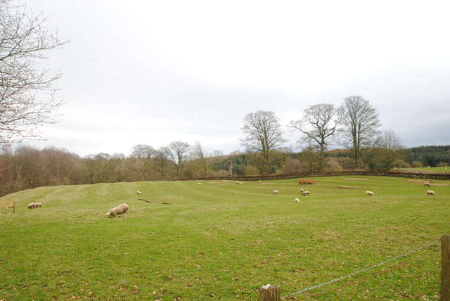  Image of 4 bedroom Detached house to rent in Cambo Morpeth NE61 at Cambo Morpeth Cambo, NE61 4BP
