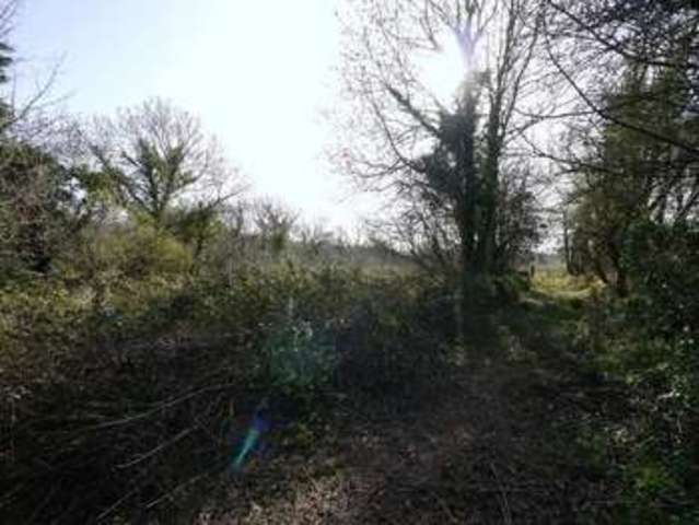  Image of 5 bedroom Detached house for sale in Derril Pyworthy Holsworthy EX22 at Derril Pyworthy Holsworthy, EX22 6YA