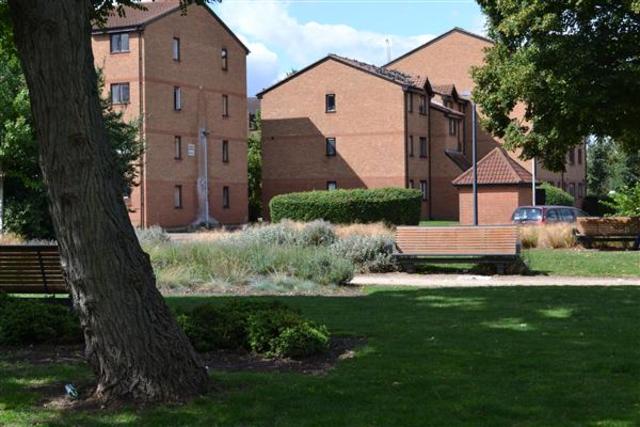  Image of Studio flat to rent in Glenville Grove London SE8 at Deptford High Street, SE8 4BJ